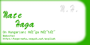 mate haga business card